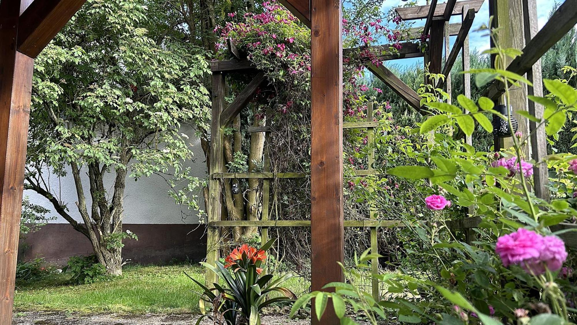 Grosszuegige Wohnung Mit Terrasse Und Gartenzugang - Das Komplette Erdgeschoss بيندلاخ المظهر الخارجي الصورة